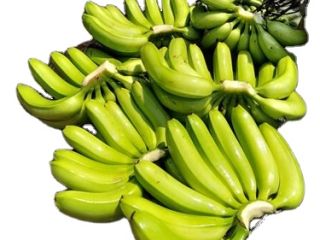 Banana supplies- Wholesale Suppliers Banana is one of those