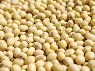 We are EKTOSAM MULTIPURPOSE COMPANY LTD, Our organic Agro