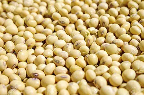We are EKTOSAM MULTIPURPOSE COMPANY LTD, Our organic Agro products ranging from organic soya beans, wheat, millet, corn, ginger, garlic for sale