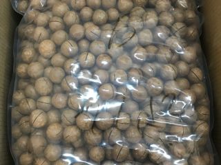Hello, we sell exotic natural unprocessed macadamia nuts in