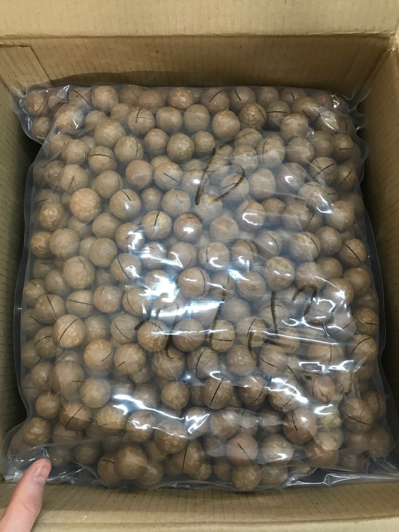 Hello, we sell exotic natural unprocessed macadamia nuts in a shell with a cut