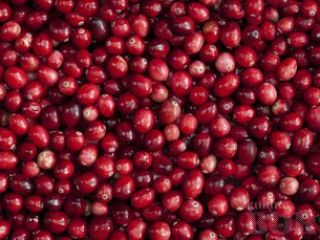 Frozen cranberry for sale by agricultural cooperative. Origin: cultivated