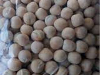 I will sell pea seeds - SALAMANKA C2. The