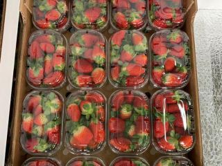 Strawberry sales started !! Strawberry sales have begun! Packing
