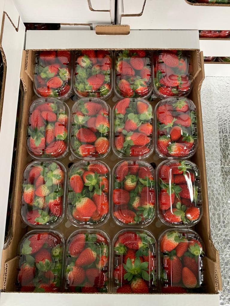Strawberry sales started !! Strawberry sales have begun! Packing according to your requirements - cardboard, plastic, wooden