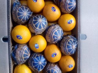 Orange Valencia: box - 14.5 kg, 1664 boxes, net