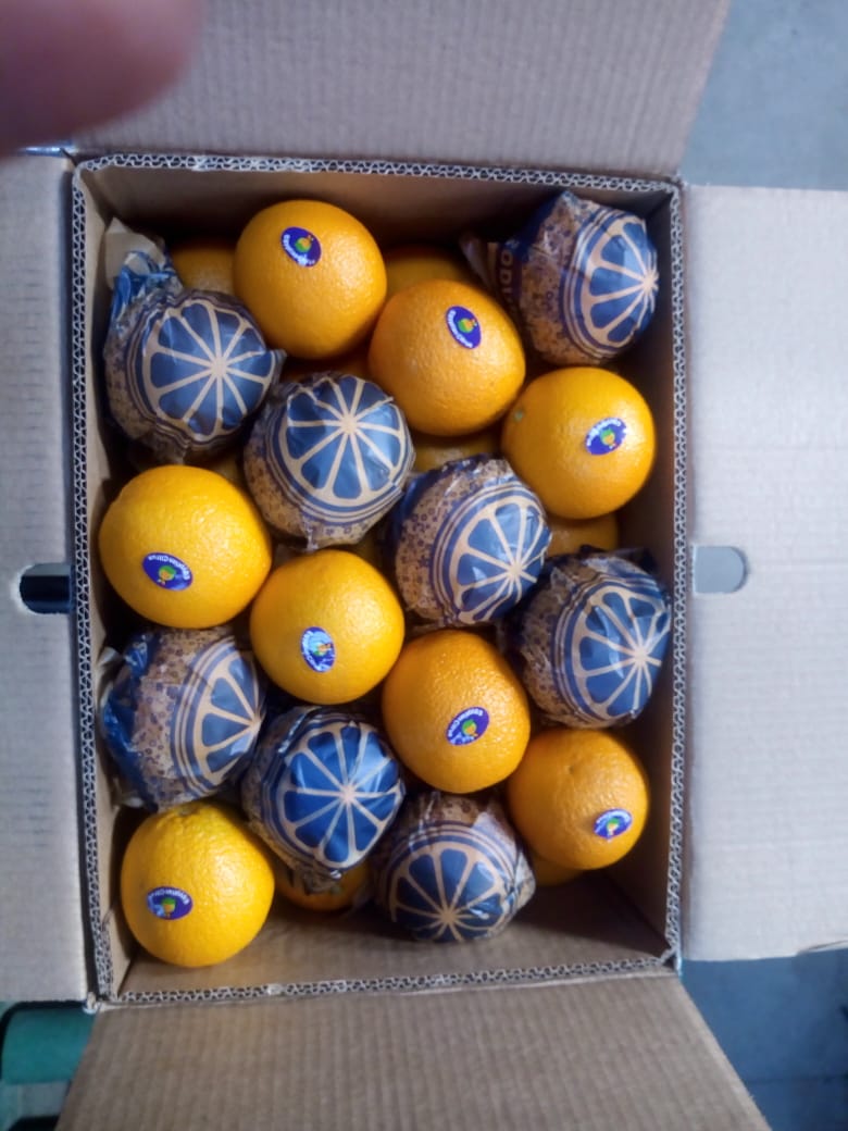 Orange Valencia: box - 14.5 kg, 1664 boxes, net weight of the container - 24128 kg