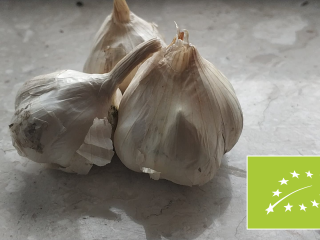 I will sell organic garlic with a current AgroBioTest