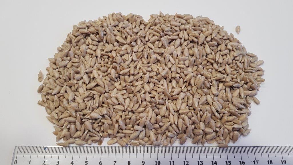We are an importer of husked sunflower origin Bulgaria