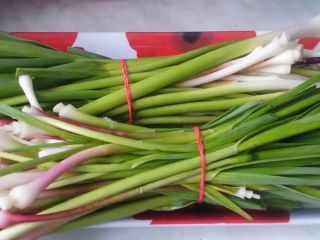 Green fresh garlic for sale. Red variety.