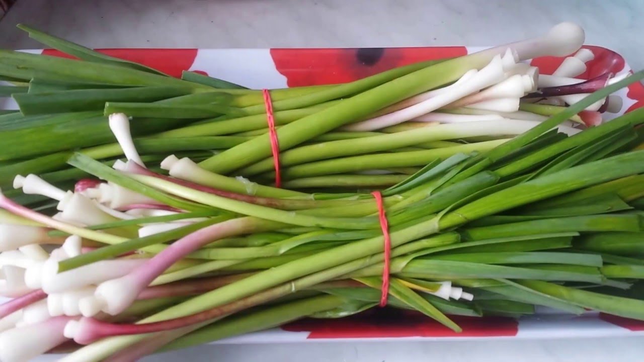 Green fresh garlic for sale