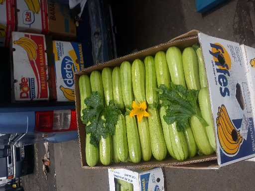 I will sell pumpkins starting from more significant daily quantities