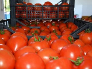 The product is certificated for selling in all the