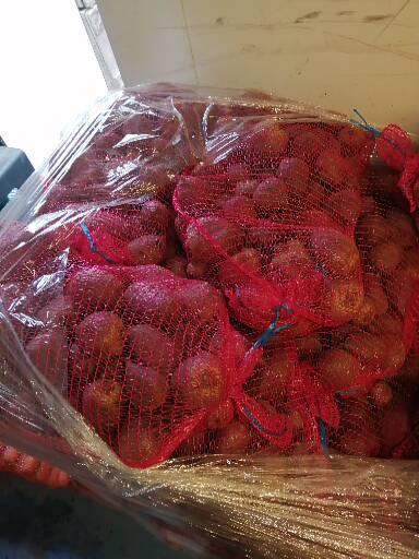 Tasty Beetroot