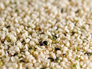 Shelled Hemp Seed / Shelled Hemp Seeds - from