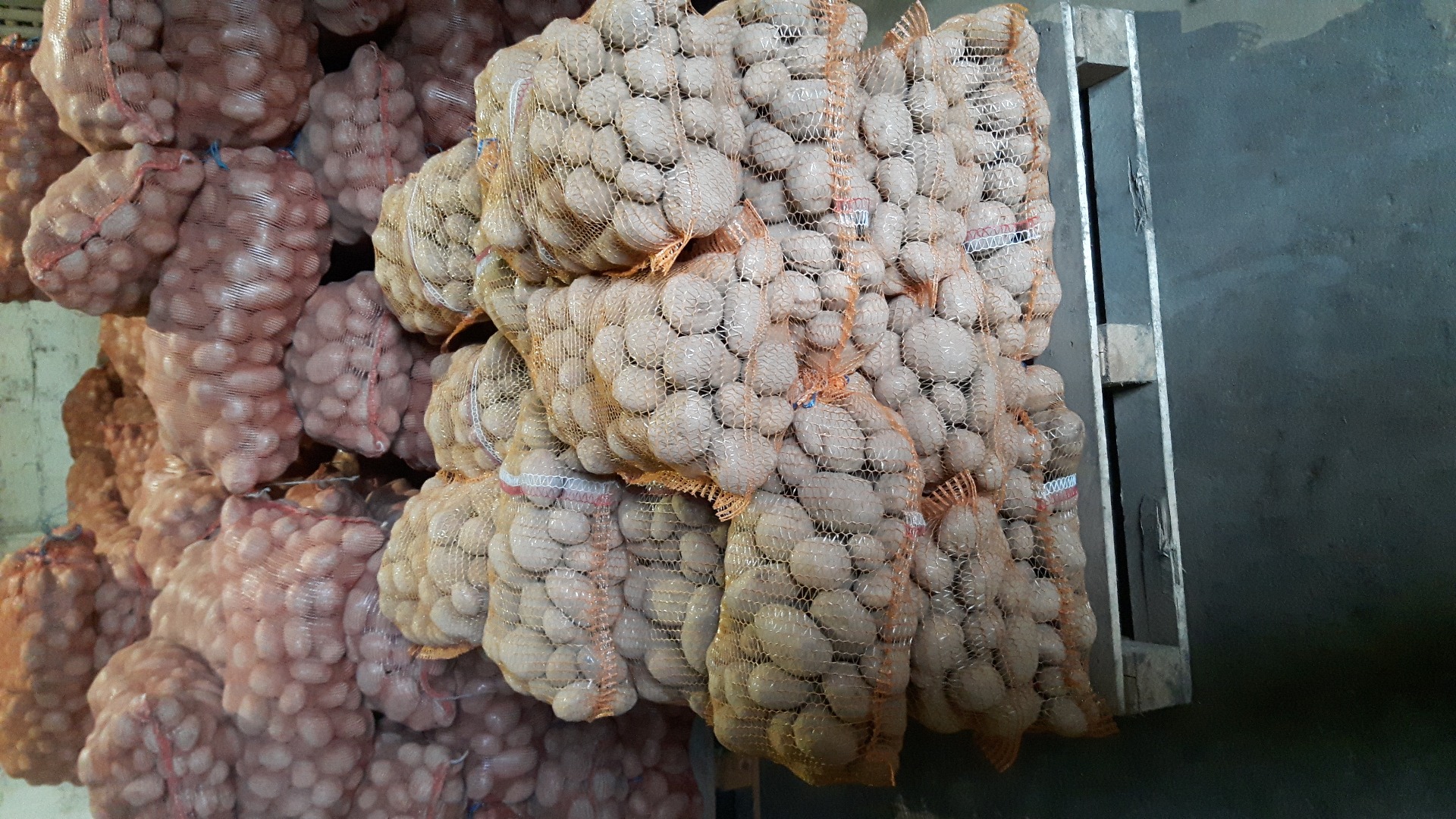 I will sell edible potatoes, Vineta variety - very tasty potatoes from a family farm