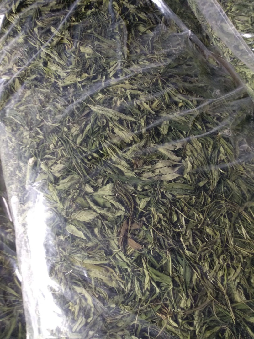 Hemp dry flowers - Hemp leaves
