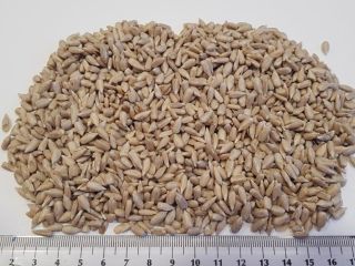 We are an importer of husked sunflower origin Bulgaria.