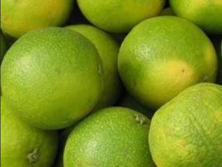 Fresh organic lemons from Uganda
