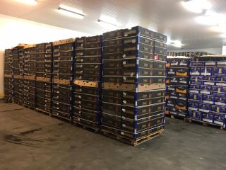 Hello, We are a company that imports vegetables /