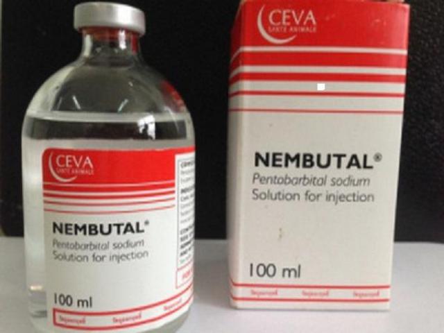 Buy Nembutal online Are you terminally ill, weak, depressed and want to give up your life from the pain of an illness? Have you been looking for a reliable and