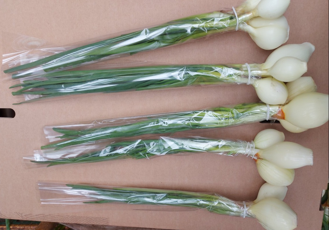 I will sell spring onions with chives, large amounts, looking for permanent cooperation