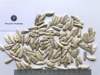 Hello, I am selling white sunflower seeds packed in