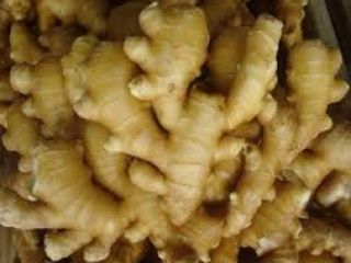 Weare the most renounced farmers and exporters of Ginger.