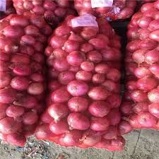 Fresh Onion for sale, these are well cultivated ecological certified onions ready for exportation
