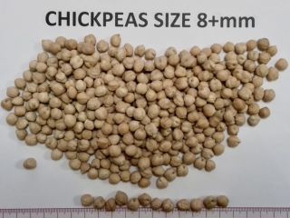 Chickpeas for sale, size 6mm-8mm + country of origin