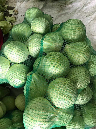 Class 1 white cabbage Head weight: from 0.8 kg to 6.0 kg Different shape of the heads, slight variations in color and slight leaf defects