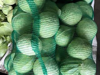 Class A yellow onion. Variety: Jellyfish Size 4-7cm, 7-9