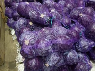 Red cabbage 1st class. Head weight: from 1 kg