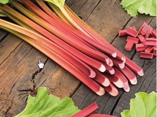 I will sell a rhubarb. Possible delivery in Krakow