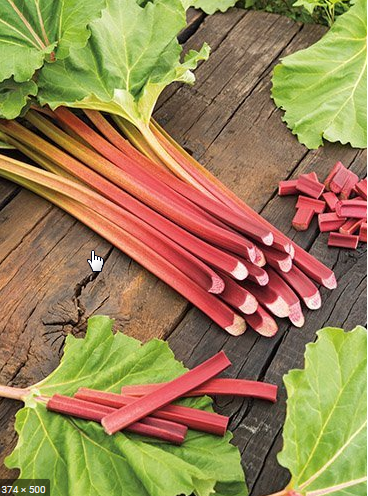 I will sell a rhubarb