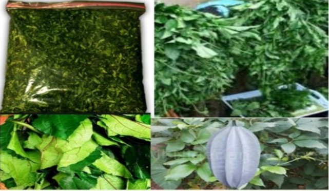 Dried fluted pumpkin available for sale