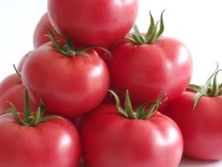 A beautiful tomato from Greece, straight from Thessaloniki, wholesale