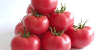 A beautiful tomato from Greece, straight from Thessaloniki, wholesale price: PLN 12.55 / 1 kg
