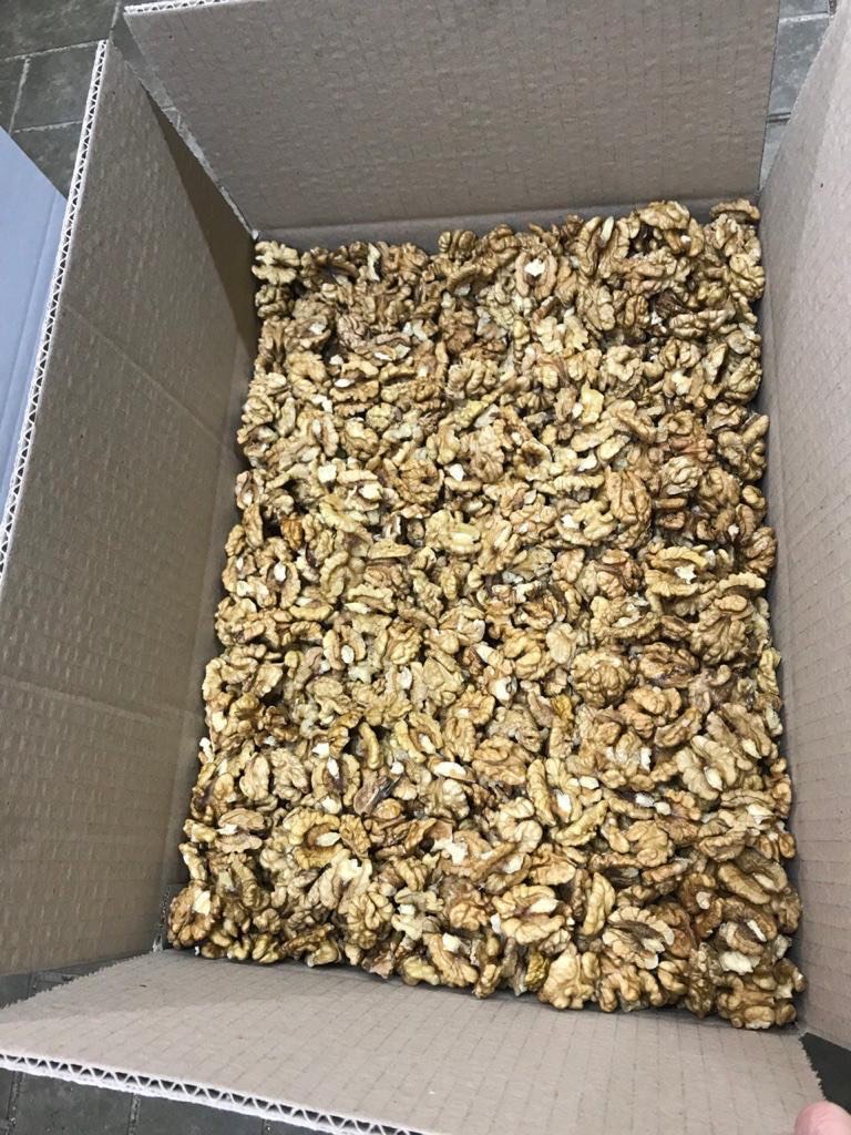 I import cleaned walnuts from Ukraine in batches of 20 tons pric 6.5