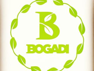 Bogadi llc