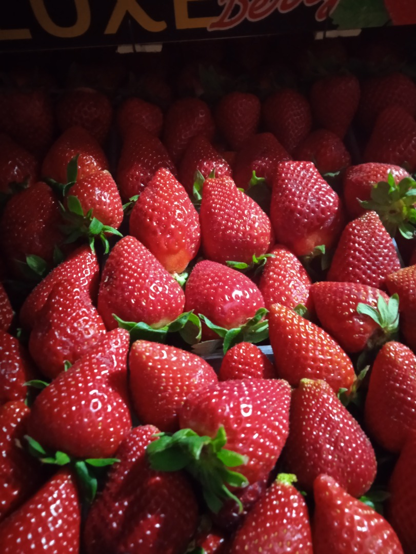 Victory strawberries, large, sweet, 5 kg box