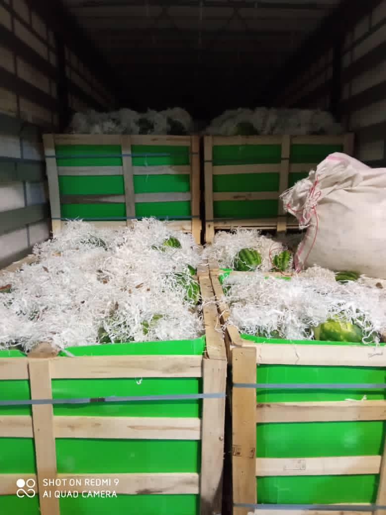 I will sell watermelons in bulk, the price includes transport