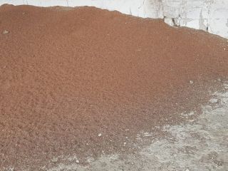 I sell sorghum and fodder barley, ideal for animal