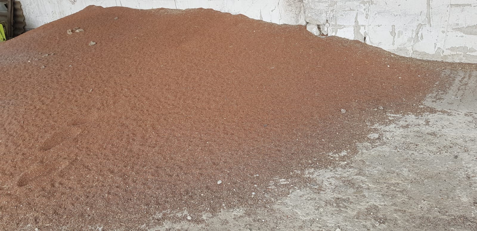 I sell sorghum and fodder barley, ideal for animal feed