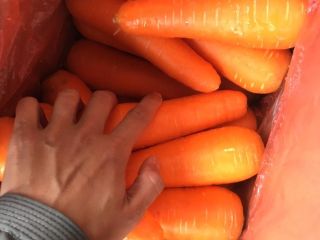 VIETNAM FRESH CARROT we can provides you large quantity