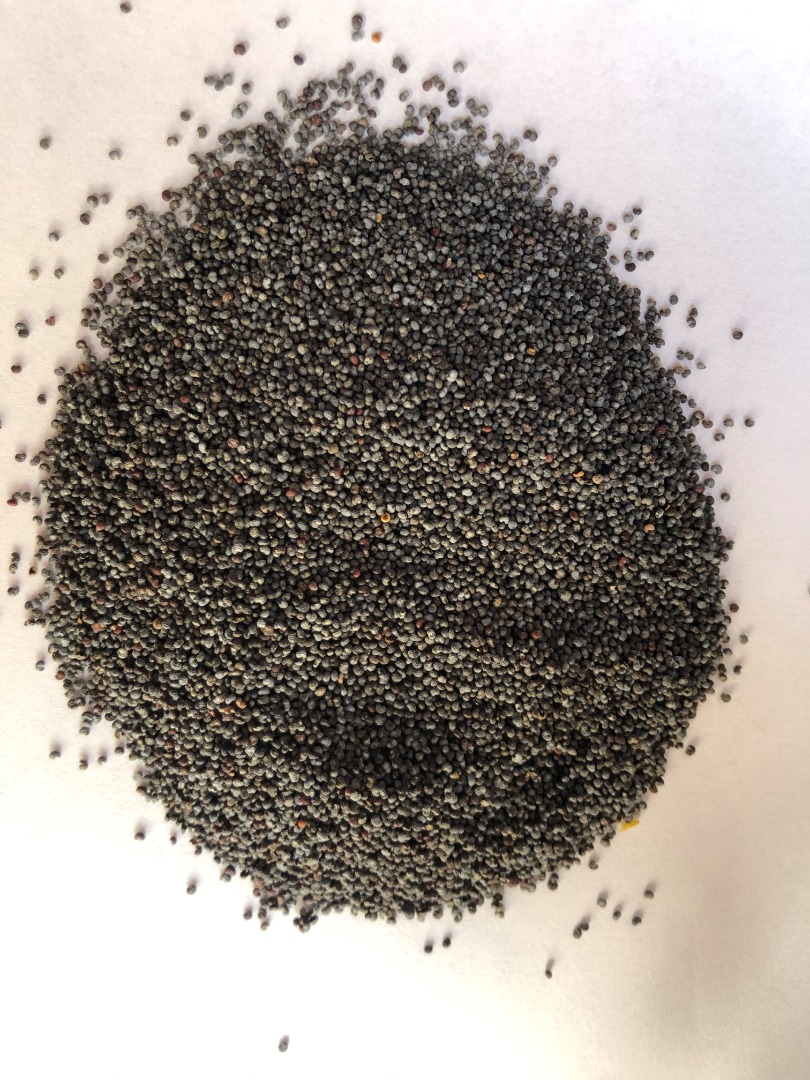 Firma Handlowa POLECKITRADING, for sale Blue Poppy (country of origin: Great Britain), packed in paper bags of 25 kg