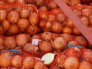 Onions, 23000 kg For more details contact lei kg
