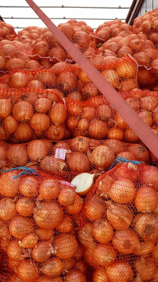 Onions, 23000 kg For more details contact lei kg VAT included