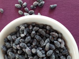 Description: Fruit of the Kamchatka berry. Tests for PPC