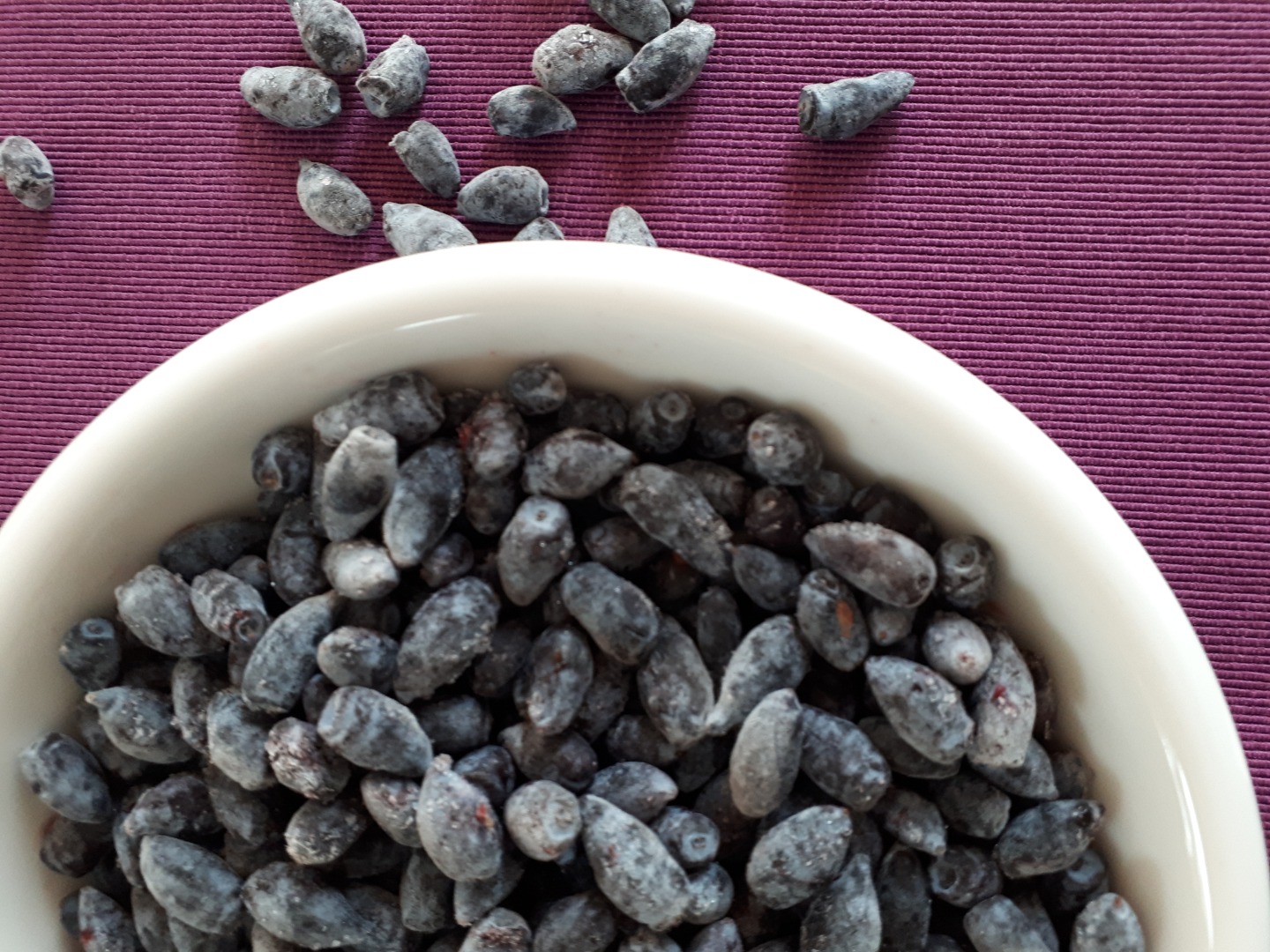 Description: Fruit of the Kamchatka berry